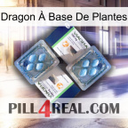 Dragon À Base De Plantes viagra5